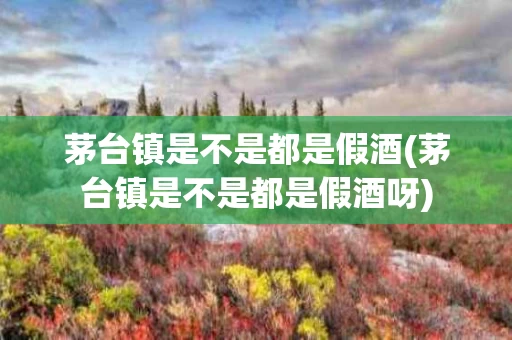 茅台镇是不是都是假酒(茅台镇是不是都是假酒呀)