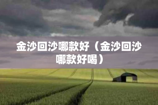 金沙回沙哪款好（金沙回沙哪款好喝）