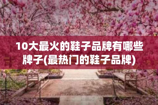 10大最火的鞋子品牌有哪些牌子(最热门的鞋子品牌)