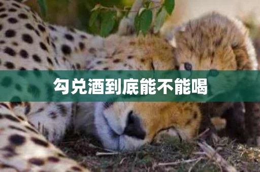 勾兑酒到底能不能喝