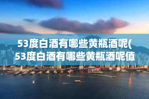 53度白酒有哪些黄瓶酒呢(53度白酒有哪些黄瓶酒呢值得买吗)