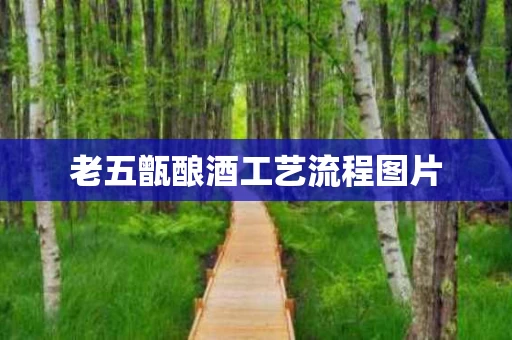 老五甑酿酒工艺流程图片