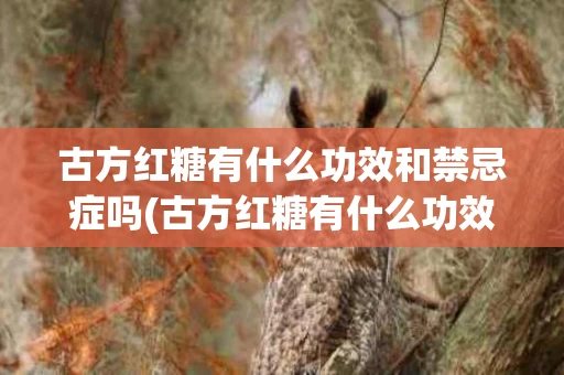 古方红糖有什么功效和禁忌症吗(古方红糖有什么功效和禁忌症吗百度百科)