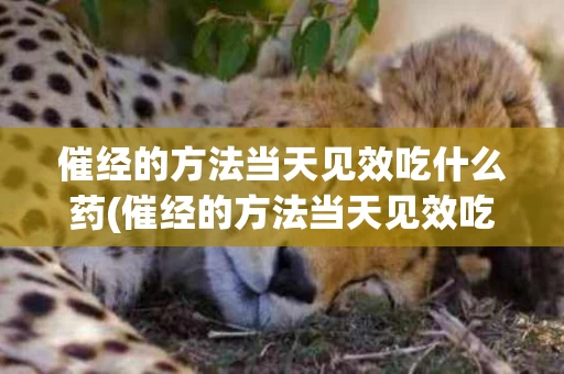 催经的方法当天见效吃什么药(催经的方法当天见效吃什么药最好)