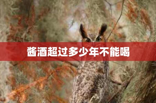 酱酒超过多少年不能喝