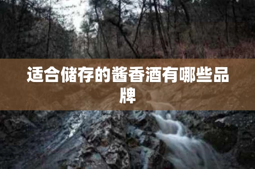 适合储存的酱香酒有哪些品牌