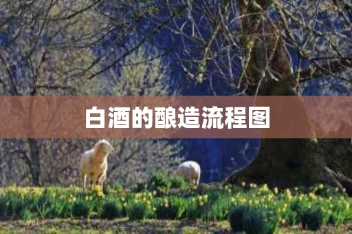 白酒的酿造流程图