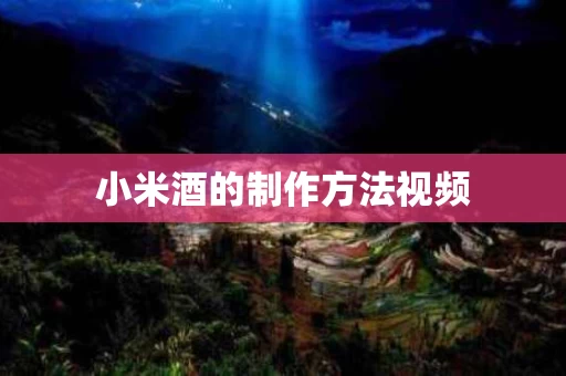 小米酒的制作方法视频
