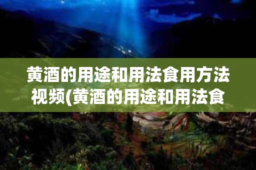 黄酒的用途和用法食用方法视频(黄酒的用途和用法食用方法视频教学)