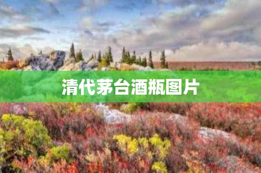 清代茅台酒瓶图片