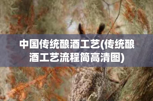 中国传统酿酒工艺(传统酿酒工艺流程简高清图)