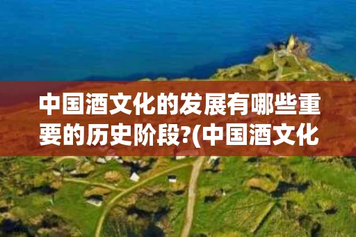 中国酒文化的发展有哪些重要的历史阶段?(中国酒文化的发展有哪些重要的历史阶段是什么)
