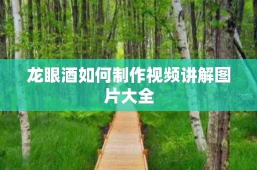 龙眼酒如何制作视频讲解图片大全