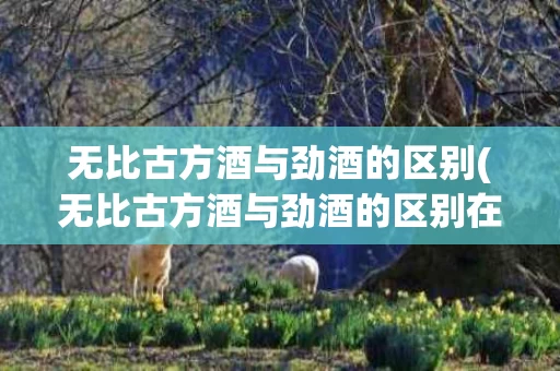 无比古方酒与劲酒的区别(无比古方酒与劲酒的区别在哪)