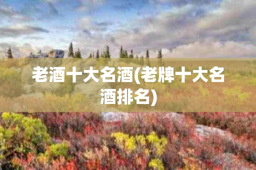 老酒十大名酒(老牌十大名酒排名)