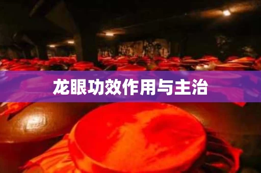 龙眼功效作用与主治