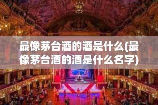 最像茅台酒的酒是什么(最像茅台酒的酒是什么名字)