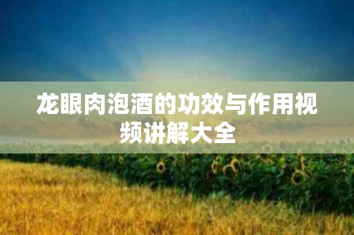 龙眼肉泡酒的功效与作用视频讲解大全