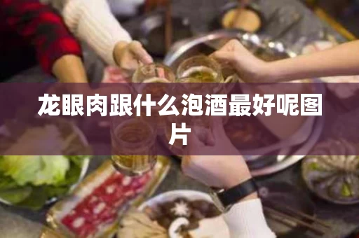 龙眼肉跟什么泡酒最好呢图片