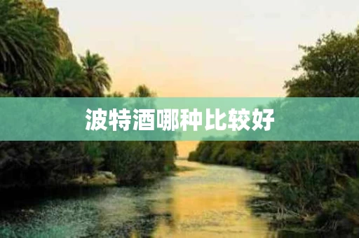 波特酒哪种比较好
