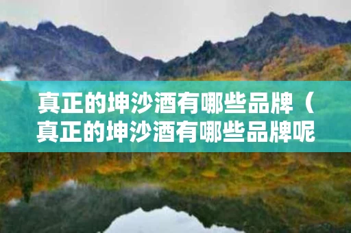 真正的坤沙酒有哪些品牌（真正的坤沙酒有哪些品牌呢）