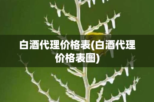 白酒代理价格表(白酒代理价格表图)