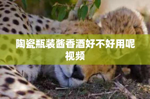 陶瓷瓶装酱香酒好不好用呢视频