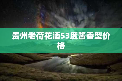 贵州老荷花酒53度酱香型价格