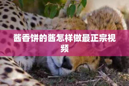 酱香饼的酱怎样做最正宗视频