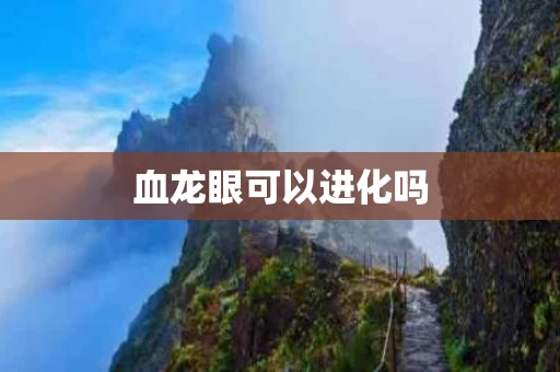 血龙眼可以进化吗