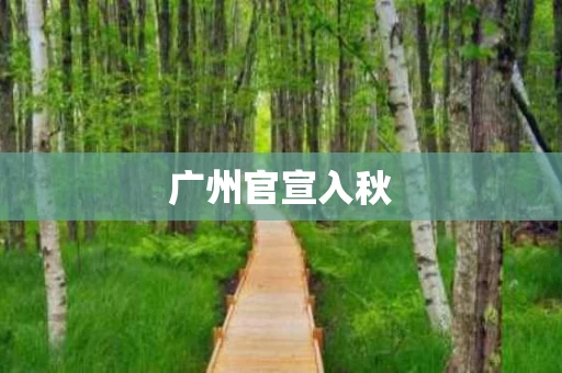 广州官宣入秋