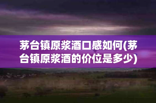 茅台镇原浆酒口感如何(茅台镇原浆酒的价位是多少)