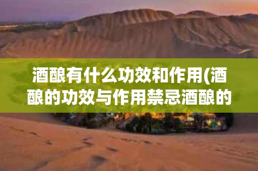 酒酿有什么功效和作用(酒酿的功效与作用禁忌酒酿的营养)