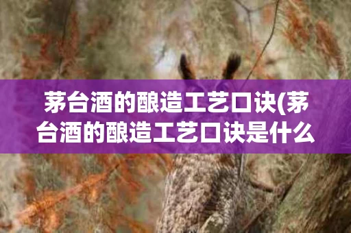 茅台酒的酿造工艺口诀(茅台酒的酿造工艺口诀是什么)