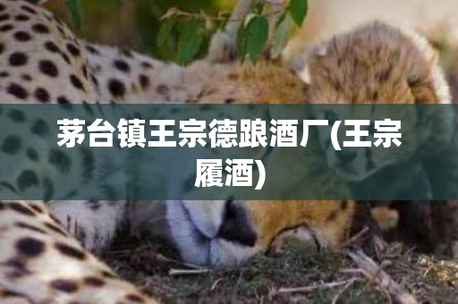 茅台镇王宗德踉酒厂(王宗履酒)