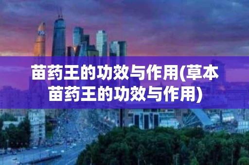 苗药王的功效与作用(草本苗药王的功效与作用)