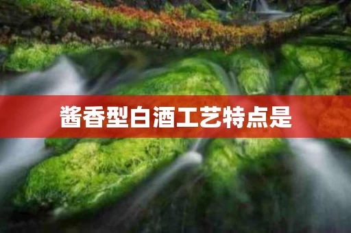 酱香型白酒工艺特点是