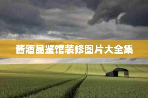 酱酒品鉴馆装修图片大全集