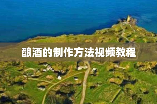 酿酒的制作方法视频教程