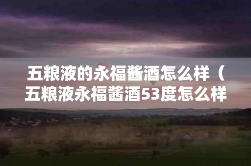 五粮液的永福酱酒怎么样（五粮液永福酱酒53度怎么样）