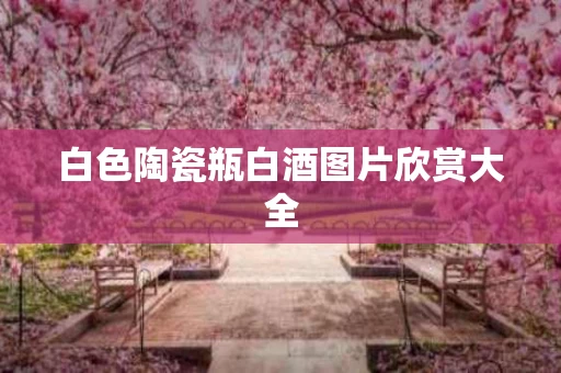 白色陶瓷瓶白酒图片欣赏大全