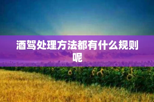 酒驾处理方法都有什么规则呢