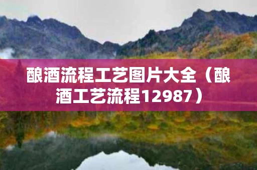 酿酒流程工艺图片大全（酿酒工艺流程12987）