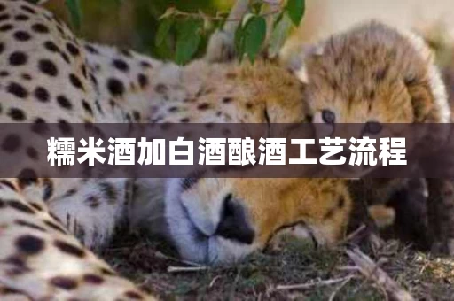 糯米酒加白酒酿酒工艺流程