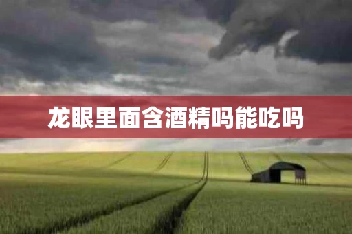 龙眼里面含酒精吗能吃吗