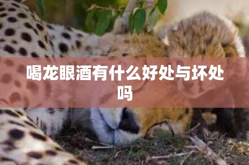 喝龙眼酒有什么好处与坏处吗