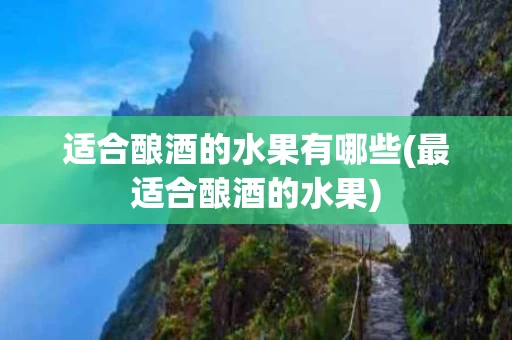 适合酿酒的水果有哪些(最适合酿酒的水果)