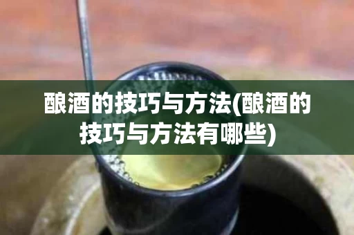 酿酒的技巧与方法(酿酒的技巧与方法有哪些)
