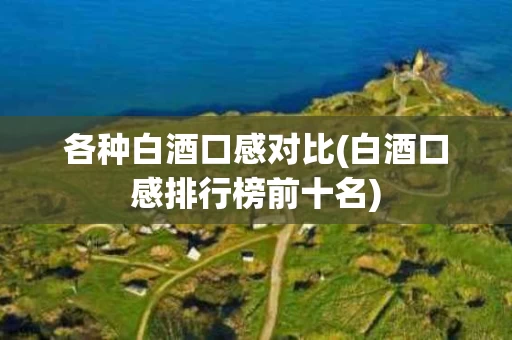 各种白酒口感对比(白酒口感排行榜前十名)