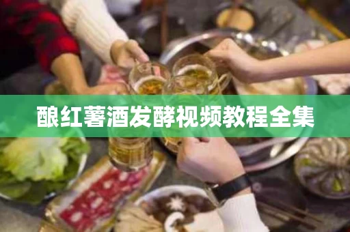 酿红薯酒发酵视频教程全集